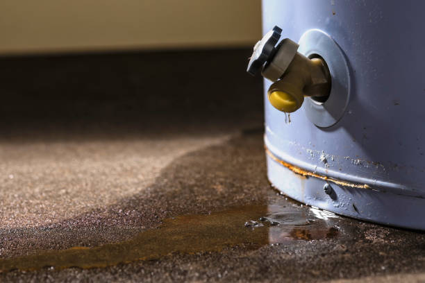 Best Commercial water damage restoration  in Winfield, AL