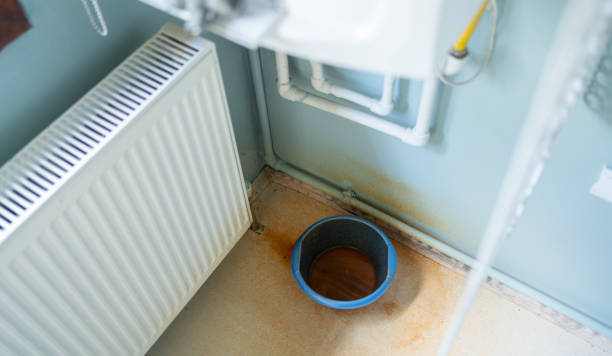 Best Ceiling water damage repair  in Winfield, AL